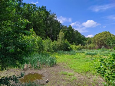 Yazın Ukrayna 'da kuru bir göl manzarası