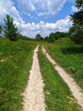Yazın güneşli bir günde Ukrayna 'da mavi gökyüzü olan ağaçların arasında toprak bir yol.