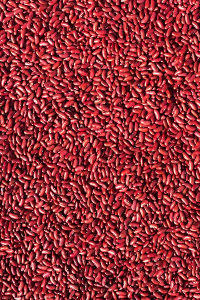 Крупный План Красной Фасоли Семена Красной Фасоли — стоковое фото