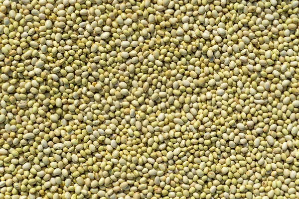 White beans texture, background. Legume.