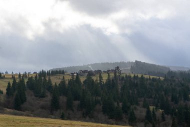 Karpatya dağlarında karsız kış. Doğada