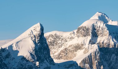 Antarktika manzarası. Antarktika 'nın deniz manzarası. Buzullar ve Güney Okyanusu.