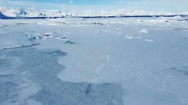 Penguen karda izler bırakır. İHA görüntüsü. Antarktika.