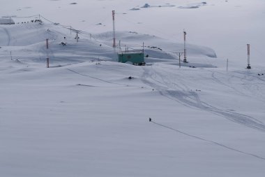 Penguen karda izler bırakır. Antarktika 'daki gentoo penguenleri. Vahşi yaşam.