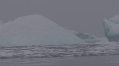 Antarktika manzarası. Antarktika 'nın deniz manzarası. Buzullar ve Güney Okyanusu.