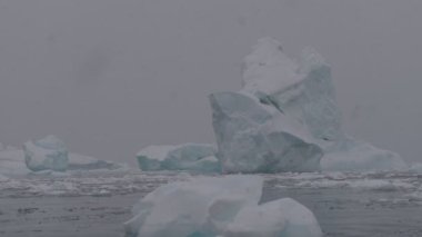 Antarktika manzarası. Antarktika 'nın deniz manzarası. Buzullar ve Güney Okyanusu.