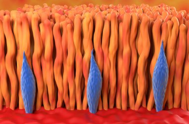 Retina koni ve çubuk insan gözü izometrik görünümde 3d illüstrasyon