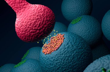 Sinaptik nöron reseptörleri (dendrite) presinaptik nöron (akson) - izometrik görünüm 3d illüstrasyonundan yayılan nörotransmitterleri alır