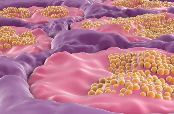 Salivary gland surface (sublingual) in the human mouth - closeup view 3d illustration