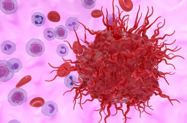 Kan akışındaki metastatik nöroendokrin tümör hücresi - 3D görüntüleme