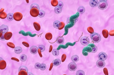 Campylobacter jejuni bakterisi - 3d izometrik görünüm