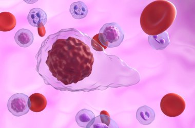 Primary myelofibrosis (PMF) cells in blood flow - closeup view 3d illustration clipart
