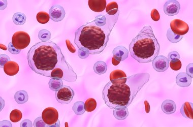 Kan akışında birincil miyelofibrosis (PMF) hücreleri - izometrik görünüm 3d illüstrasyon