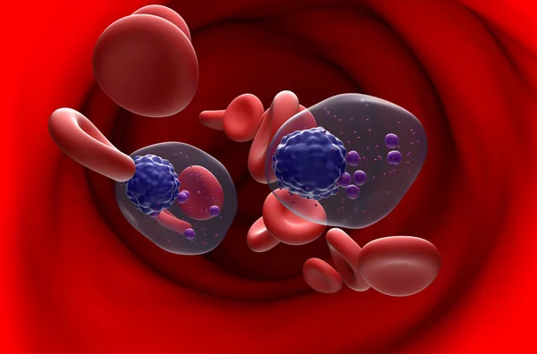 Cellule Mieloma Multiplo Nel Flusso Sanguigno Vista Sezione Illustrazione — Foto Stock
