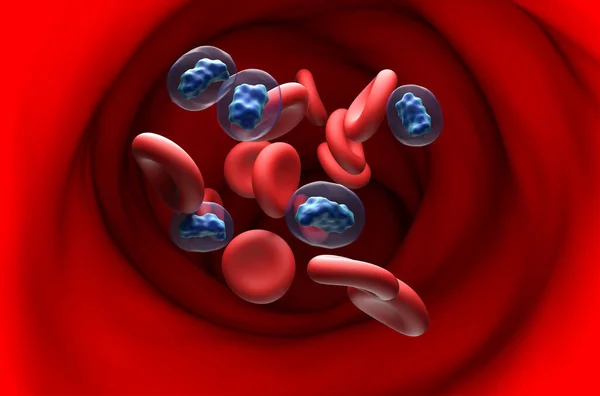 Ormoni Testosterone Nel Flusso Sanguigno Sezione Vista Illustrazione — Foto Stock