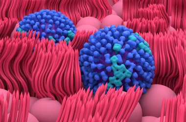 Geniz mukoza çizgilerinde grip virüsü - yakın çekim görüntü 3D illüstrasyon