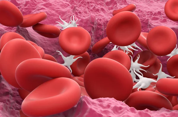 创面愈合过程中的红细胞 Rbc 和血小板 特写3D — 图库照片