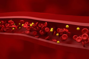 Normal LDL düzeyi (lipoprotein) - sağlıklı kabın izometrik görünümünde kolesterol ve rbc akışı 3d illüstrasyon