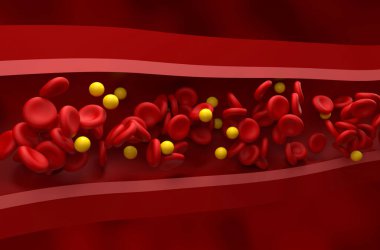 Normal LDL seviyesi (lipoprotein) - sağlıklı damarda kolesterol ve rbc akışı 3d görünüm