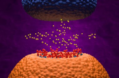Myasthenia gravis 'teki asetilkolin vericilerini engelleyen reseptöre (achr) otomatik antikorlar bağlanır (Myasthenia gravis) - 3d gösterim izometrik görünümü