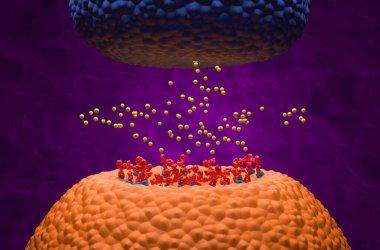 Autoantibodies bond to receptor (achr) blocking the acetylcholine transmitters in Myasthenia gravis (MG) - 3d illustration isometric view clipart