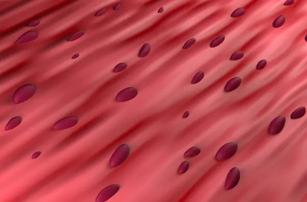 Cardiac Muscle Tissue - 3d illustration isometric view