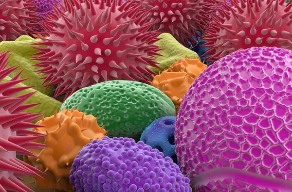 Multiple types of pollen grains - closeup view 3d illustration