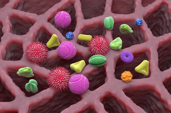 Multiple types of pollen grains in the lung tissue - isometric view 3d illustration