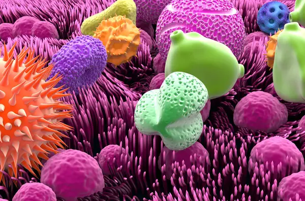 Multiple types of pollen grains in the trachea - closeup view 3d illustration