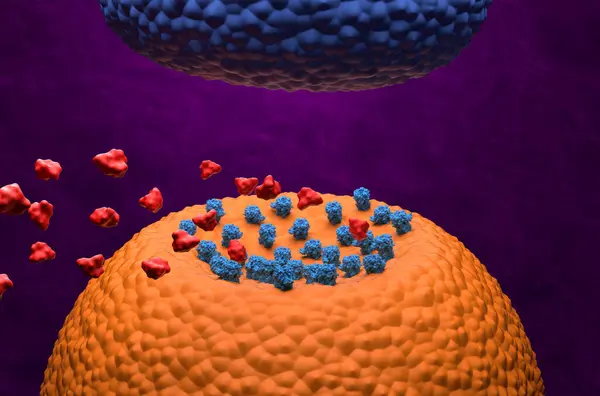 Opioid molecules looking for the GABA receptors - isometric view 3d illustration