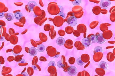 Polycythemia vera 'da (PV) yüksek seviyede kırmızı kan hücresi - izometrik görünüm 3d illüstrasyon