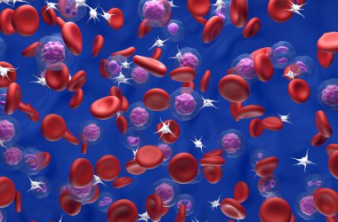 Polycythemia vera 'da (PV) yüksek RBC ve trombosit seviyesi - izometrik görünüm 3d illüstrasyon