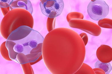 Polycythemia vera 'da (PV) yüksek seviyede kırmızı kan hücresi - yakın görünüm 3d illüstrasyon