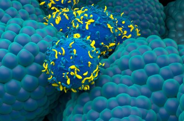 Prostat kanserinde otomobil T hücre tedavisi - yakın çekim 3D illüstrasyon