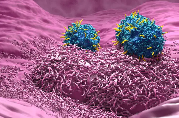 stock image CAR T cell therapy in Liver cancer - closeup view 3d illustration