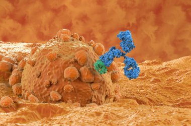 Melanoma 'da monoklonal antikor tedavisi - yakın çekim 3d illüstrasyon