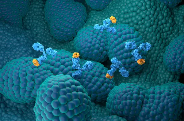 stock image Monoclonal antibody treatment in Prostate cancer - isometric view 3d illustration