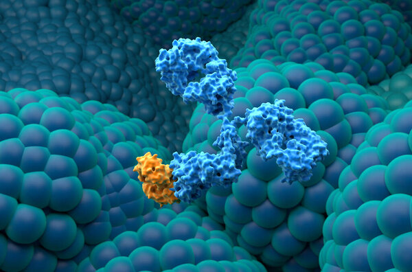 Лечение моноклональных антител при раке предстательной железы - крупный план 3d иллюстрация