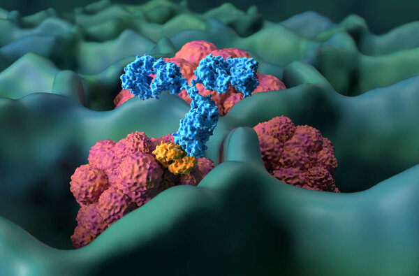 Лечение моноклональных антител при раке легких (LC) - изображение крупным планом 3d иллюстрация