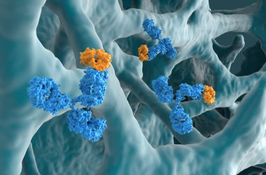 Osteoporoz 'da monoklonal antikor tedavisi - yakın çekim 3d illüstrasyon