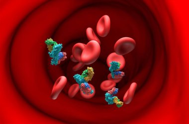 Trastuzumab Pertuzumab antikor tedavisi HER2 pozitif göğüs kanseri - bölüm 3 boyutlu illüstrasyon