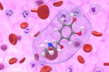 Epinephrine (adrenaline) molecules - closeup view 3d illustration