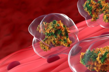 Kas içindeki Botulinum nörotoksin - 3 boyutlu görüntüleme