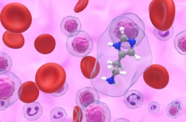 Histamin bileşiği - yakın görünüm 3d illüstrasyon