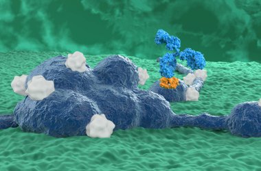 Nöroblastoma 'da monoklonal antikor tedavisi - yakın çekim görüntü 3D illüstrasyon