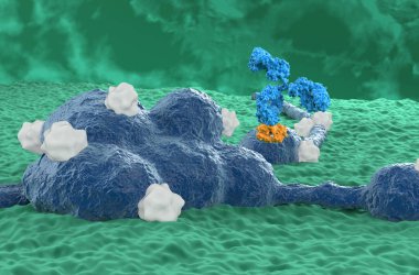 Monoclonal antibody therapy in Neuroblastoma - closeup view 3d illustration clipart