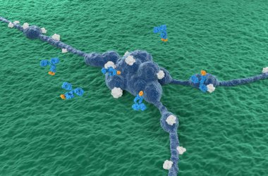 Monoclonal antibody therapy in Neuroblastoma - isometric view 3d illustration clipart