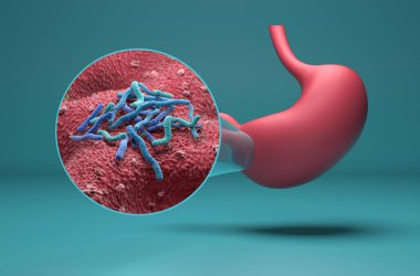 Helicobacter pylori bacteria - isometric view 3d illustration clipart