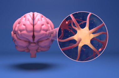 Neuron cells - 3d illustration closeup view clipart