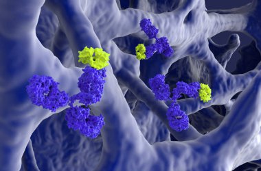 Osteoporoz 'da monoklonal antikor tedavisi - yakın çekim 3d illüstrasyon